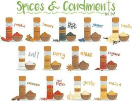 Set of 13 different culinary species and condiments in cartoon style. Set 1 of 2 vector