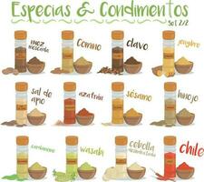 Set of 12 different culinary species and condiments in cartoon style. Set 2 of 2. Spanish names. vector