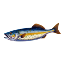Isolated Blue Trout Fish on Png Background.