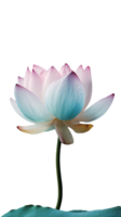 incroyable image de multi Couleur lotus fleur avec l'eau gouttes sur png Contexte. génératif ai.