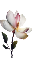 sorprendente Immagine di morbido rosa magnolia fiore su trasparente sfondo. generativo ai. png