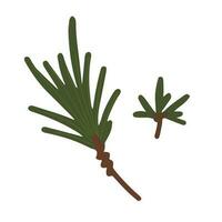 Hand drawn illustration of fir twig. Christmas decorative floral element in doodle style vector