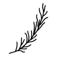 Hand drawn line art of spruce branch. Christmas decorative floral element in doodle style vector