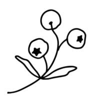 Hand drawn illustration of branch with berries. Decorative floral element in doodle style vector
