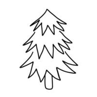 Hand drawn outline illustration of larch. Coniferous tree in doodle style vector