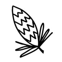 Hand drawn outline illustration of pine cone. Conifer cone in doodle style vector
