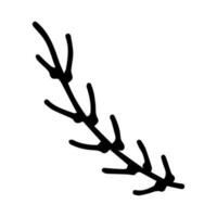 Hand drawn line art of pine branch in doodle style vector