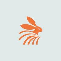 Rabbit Logo Design vector