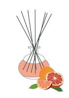 Home aromatherapy Vector isolated illustration. Diffuser with sticks orange  and grapefruit citrus fragrance