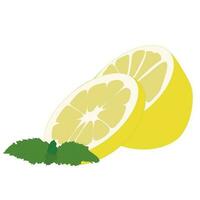 Lemon with mint icon, vector flat style  illustration isolated on white background. Sliced citrus