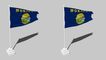 Estado do montana bandeira desatado em loop acenando com pólo base ficar de pé e sombra, isolado em alfa canal Preto e branco fosco, avião e colisão textura pano variações, 3d Renderização video