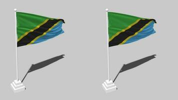 Tanzânia bandeira desatado em loop acenando com pólo base ficar de pé e sombra, isolado em alfa canal Preto e branco fosco, avião e colisão textura pano variações, 3d Renderização video