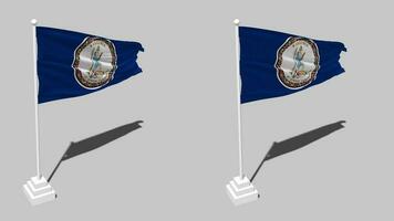 State of Virginia Flag Seamless Looped Waving with Pole Base Stand and Shadow, Isolated on Alpha Channel Black and White Matte, Plain and Bump Texture Cloth Variations, 3D Rendering video