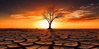 silueta de muerto árbol en agrietado suelo puesta de sol fondo, global calentamiento concepto. generativo ai foto