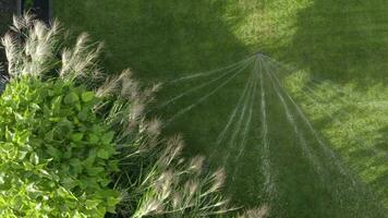 Backyard Garden Automatic Watering System by Sprinklers. video