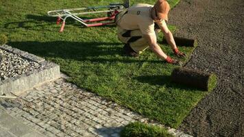 Newly Developed Garden Grass Turfs Installation. Landscaping Industry Theme. video