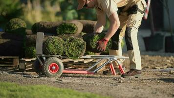 Natural Grass Turf Professional Installer. Gardener Installing Natural Grass Turfs Creating Beautiful Lawn Field. video