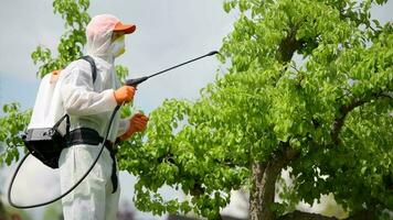 jardineiro trabalhando dentro proteção suíte pulverização plantas video