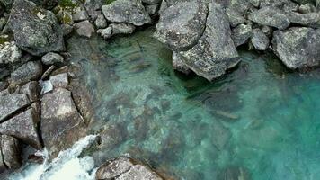 très nettoyer et Frais glacial rivière dans vestland comté de le Norvège video