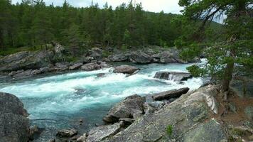 Türkis Fluss fliegen Angeln. norwegisch Vestland Bezirk. video