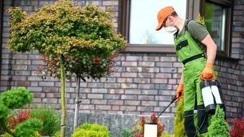 Spraying Insecticide on Tree video