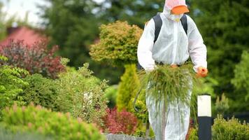 Seasonal Insecticide Work video