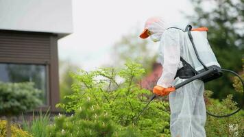 estacional plantas insecticida video