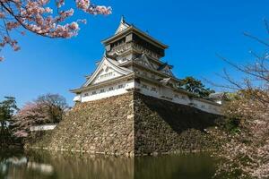 Cereza florecer a kokura castillo en kitakyushu, fukuoka, Japón. foto