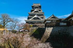 Tenshu of Kumamoto castle in kumamoto city, kyushu, japan photo