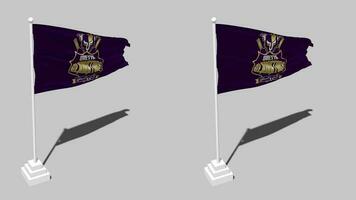 Quetta Gladiators, QG Flag Seamless Looped Waving with Pole Base Stand and Shadow, Isolated on Alpha Channel Black and White Matte, Plain and Bump Texture Cloth Variations, 3D Rendering video