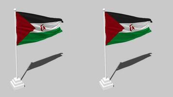 sahrawi Arabisch democratisch republiek vlag naadloos lusvormige golvend met pool baseren staan en schaduw, geïsoleerd Aan alpha kanaal zwart en wit mat, duidelijk en buil structuur kleding variaties, 3d renderen video