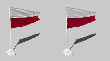 Poland Flag Seamless Looped Waving with Pole Base Stand and Shadow, Isolated on Alpha Channel Black and White Matte, Plain and Bump Texture Cloth Variations, 3D Rendering video