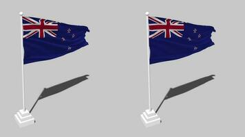nuevo Zelanda bandera sin costura serpenteado ondulación con polo base estar y sombra, aislado en alfa canal negro y blanco mate, llanura y bache textura paño variaciones, 3d representación video