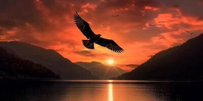 Silhouette of bird flying on sunset background with river and mountain landscape. photo