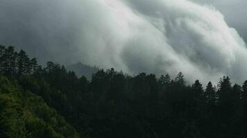 meridionale Austria. orografico nuvole sviluppare nel risposta per il costretto sollevamento di aria di topografico Caratteristiche su il della terra superficie piace montagne video