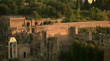 octubre 15, 2019. Roma, Italia. restos de el romano foro antiguo gobierno edificios lleno de turista. famoso italiano destino. video