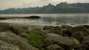 lofoten ans senja ilha cênico panorama video