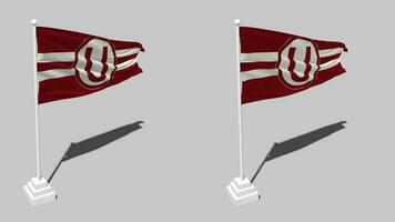 Club Universitario de Deportes Flag Seamless Looped Waving with Pole Base Stand, Isolated on Alpha Channel Black and White Matte, Plain and Bump Texture Cloth, 3D Render video