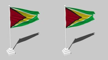 Guiana bandeira desatado em loop acenando com pólo base ficar de pé e sombra, isolado em alfa canal Preto e branco fosco, avião e colisão textura pano variações, 3d Renderização video