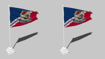 Yokohama F Marinos Flag Seamless Looped Waving with Pole Base Stand, Isolated on Alpha Channel Black and White Matte, Plain and Bump Texture Cloth, 3D Render video