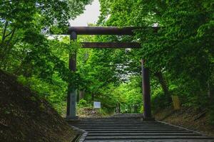 torii de Hokkaido santuario situado en sapporo, Japón foto