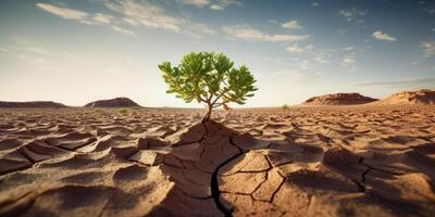 árbol crecimiento en agrietado tierra, planta en árido suelo a proteger global calentamiento y clima cambiar. generativo ai foto