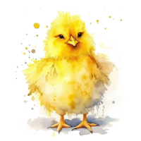 Cute watercolor yellow chicken. Illustration png