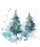 Christmas watercolor with fir trees foliage. Illustration png