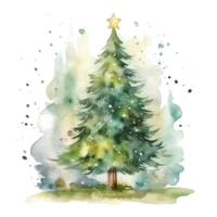 Watercolor Christmas tree isolated. Illustration png