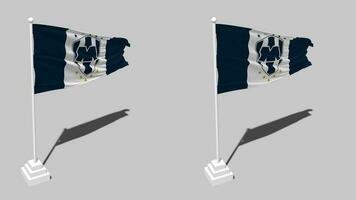 Club de Futbol Monterrey, Rayados Flag Seamless Looped Waving with Pole Base Stand, Isolated on Alpha Channel Black and White Matte, Plain and Bump Texture Cloth, 3D Render video