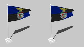 Sport Lisboa e Benfica Flag Seamless Looped Waving with Pole Base Stand, Isolated on Alpha Channel Black and White Matte, Plain and Bump Texture Cloth, 3D Render video