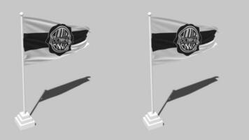 Club Olimpia Flag Seamless Looped Waving with Pole Base Stand, Isolated on Alpha Channel Black and White Matte, Plain and Bump Texture Cloth, 3D Render video