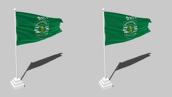 sporting clube de Portugal, sporting cp vlag naadloos lusvormige golvend met pool baseren stellage, geïsoleerd Aan alpha kanaal zwart en wit mat, duidelijk en buil structuur lap, 3d geven video