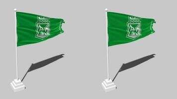 Atletico Nacional SA Football Club Flag Seamless Looped Waving with Pole Base Stand, Isolated on Alpha Channel Black and White Matte, Plain and Bump Texture Cloth, 3D Render video